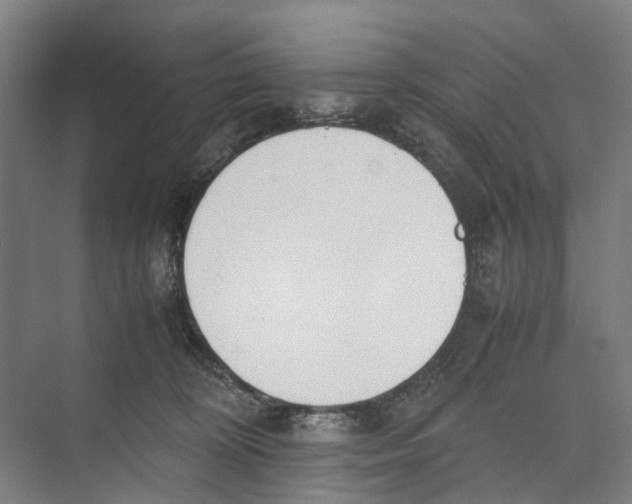 X0000071930324200608041507