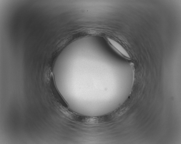 X0000071930325200608041507
