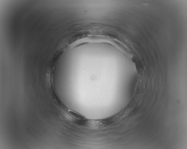 X0000071930333200608041507