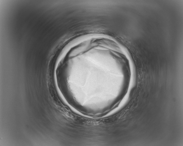 X0000071930339200608041506