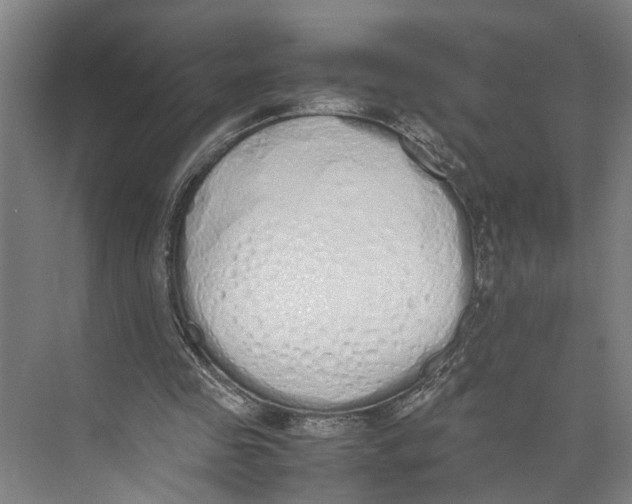 X0000071930341200608041506