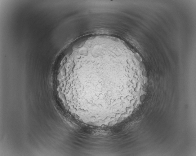 X0000071930347200608041507