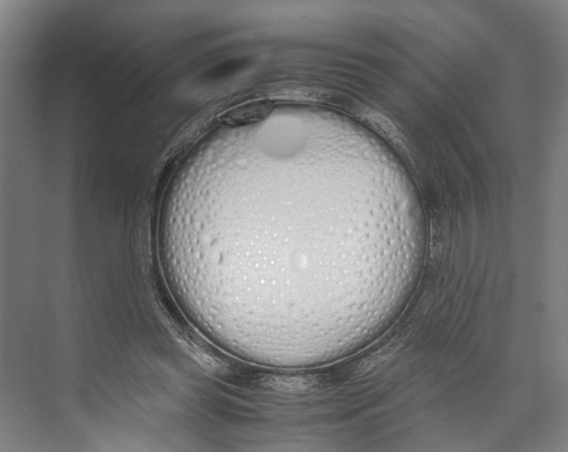 X0000071930349200608041507