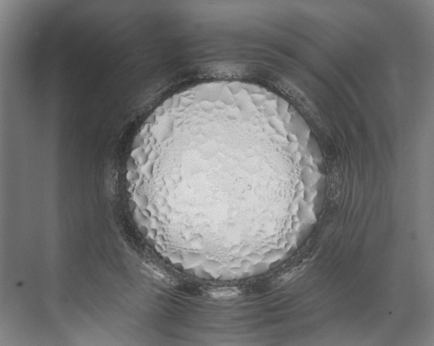 X0000071930355200608041507