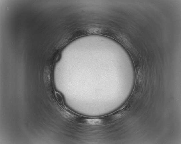 X0000071930363200608041507