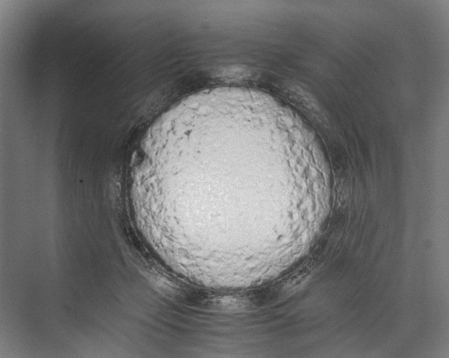 X0000071930365200608041507