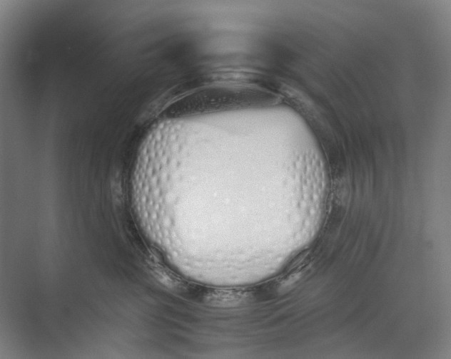 X0000071930381200608041507