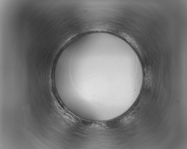 X0000071930386200608041506