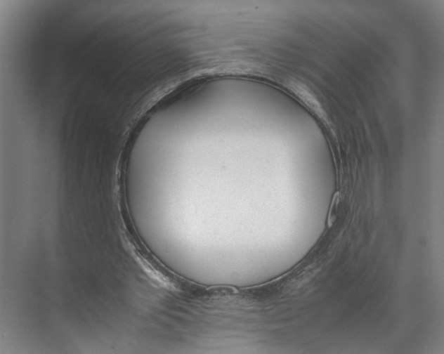 X0000071930389200608041506