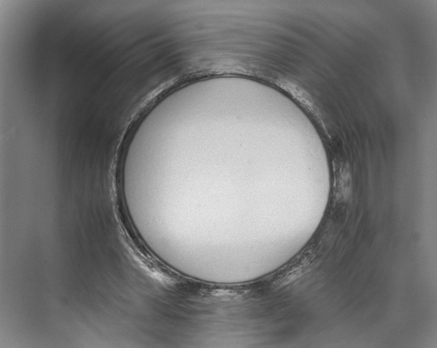 X0000071930390200608041506
