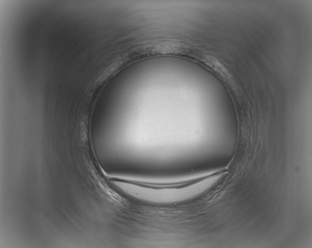 X0000071930393200608041506