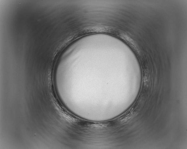 X0000071930394200608041506