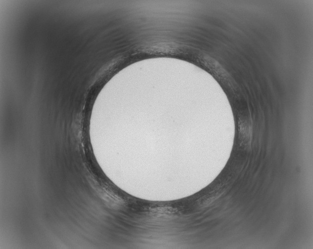 X0000071930396200608041506