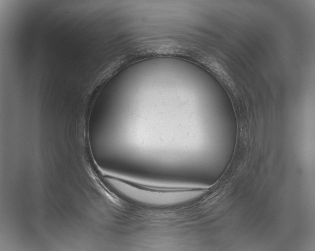 X0000071930397200608041506