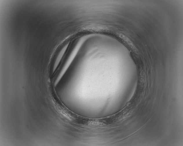 X0000071930399200608041506