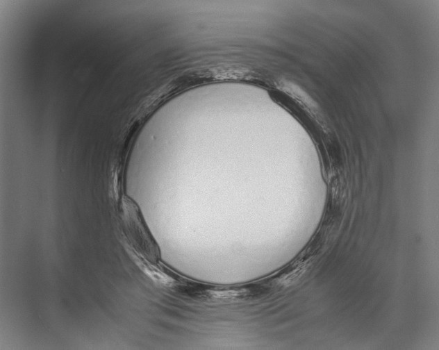 X0000071930405200608041506