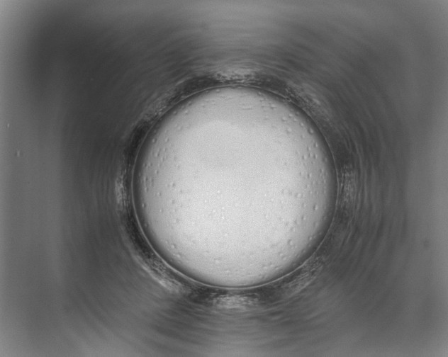 X0000071930408200608041506