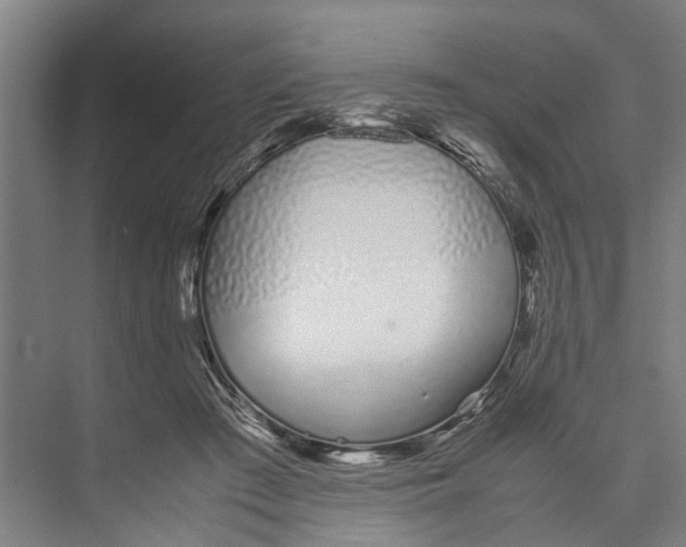 X0000071930409200608041506