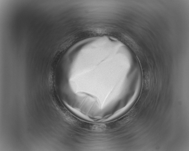 X0000071930410200608041506