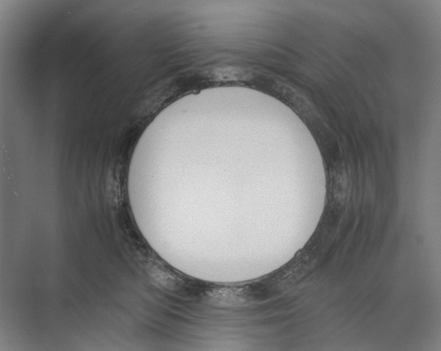 X0000071930422200608041506
