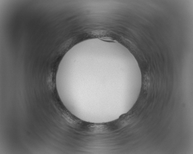 X0000071930428200608041506