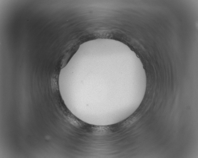 X0000071930432200608041506