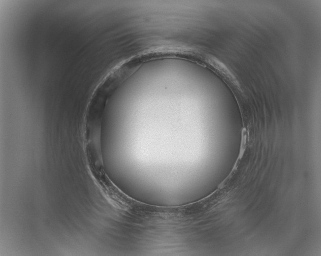 X0000071930436200608041505