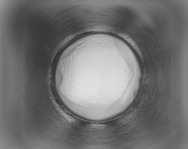 X0000071930437200608041505