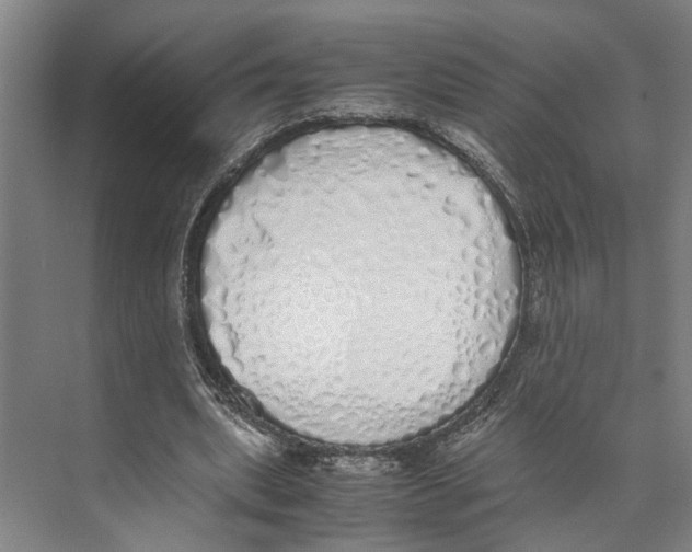 X0000071930439200608041505
