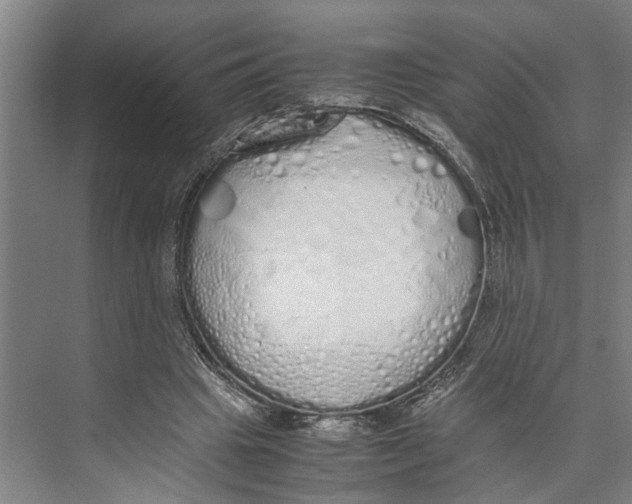 X0000071930441200608041505