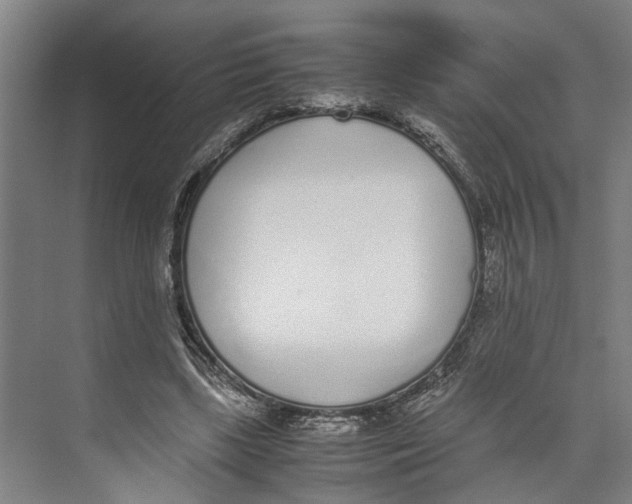 X0000071930443200608041505