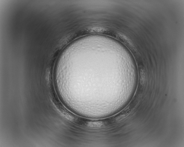 X0000071930451200608041505