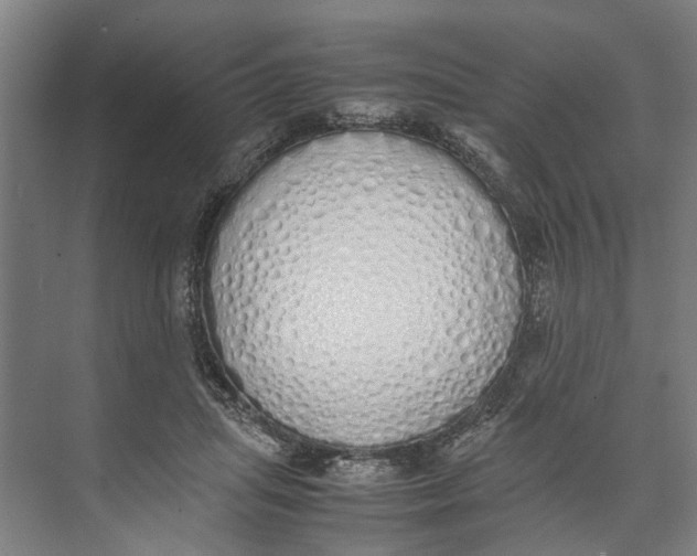 X0000071930455200608041505