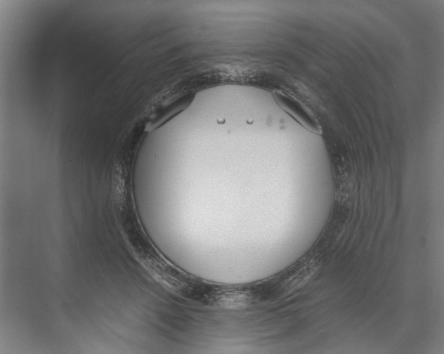 X0000071930456200608041505