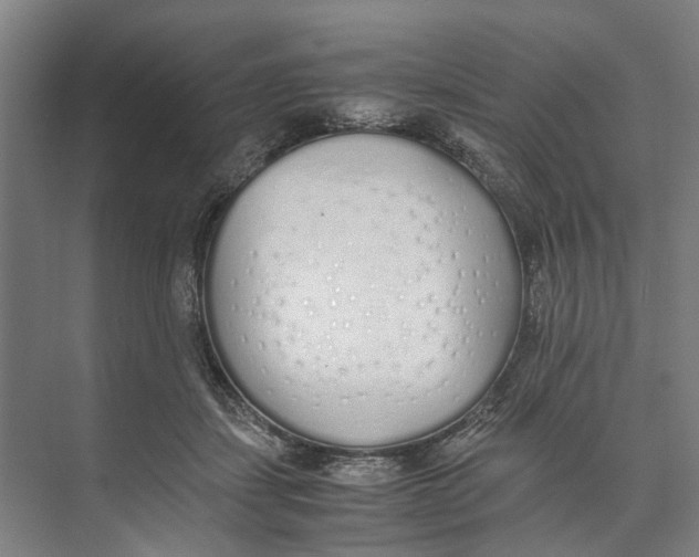 X0000071930459200608041505
