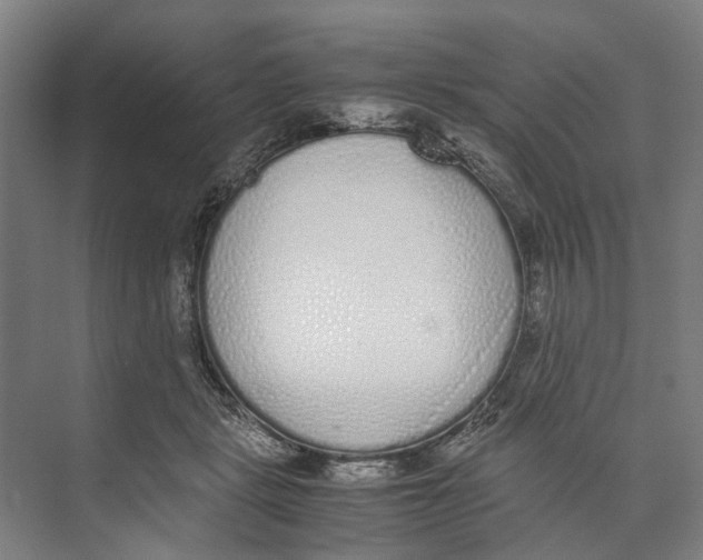 X0000071930461200608041505