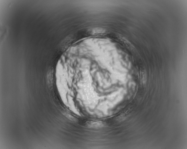 X0000071930475200608041505