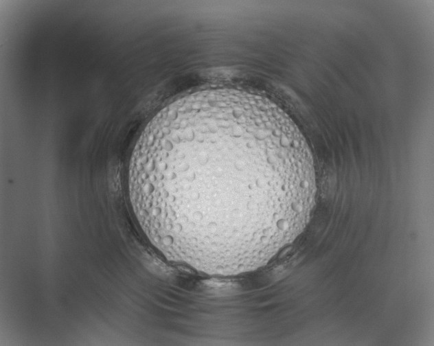 X0000071930477200608041505