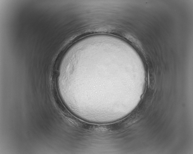 X0000071930483200608041505
