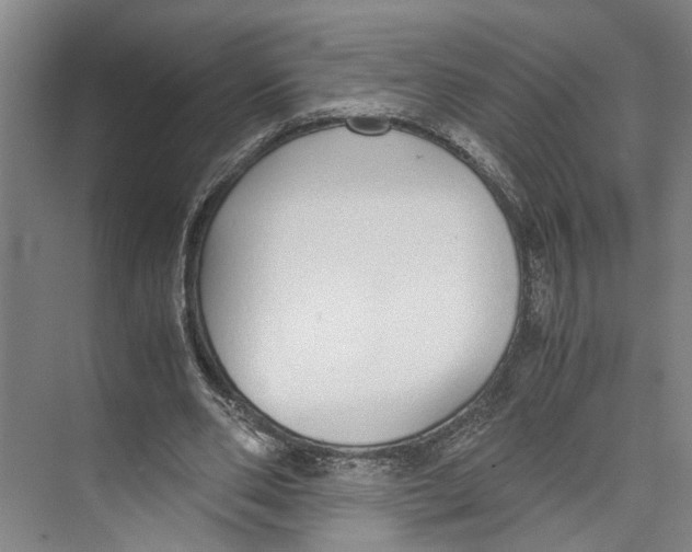 X0000071930486200608041505