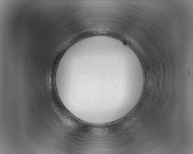 X0000071930494200608041504