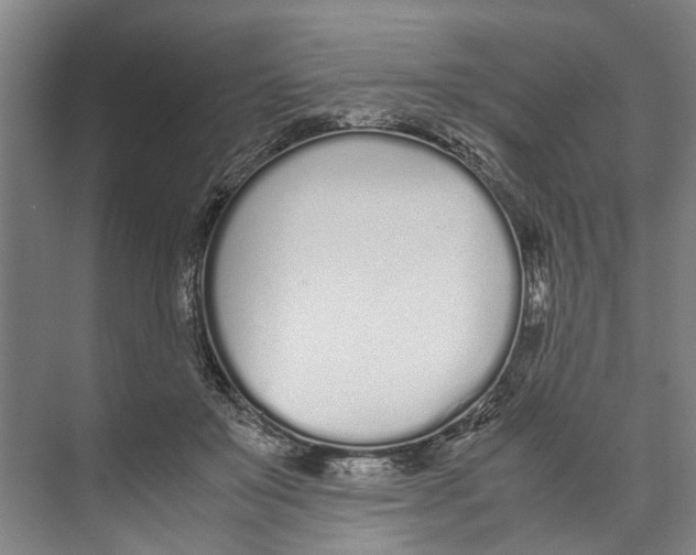 X0000071930503200608041504