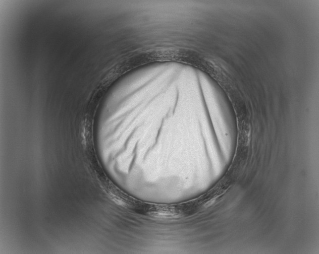 X0000071930507200608041504