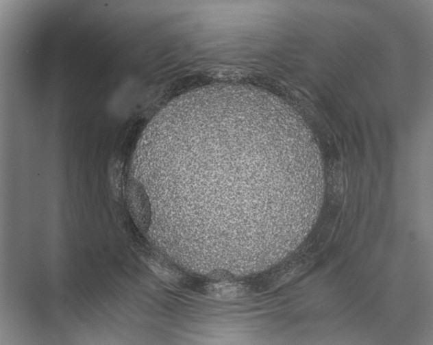 X0000071930511200608041504