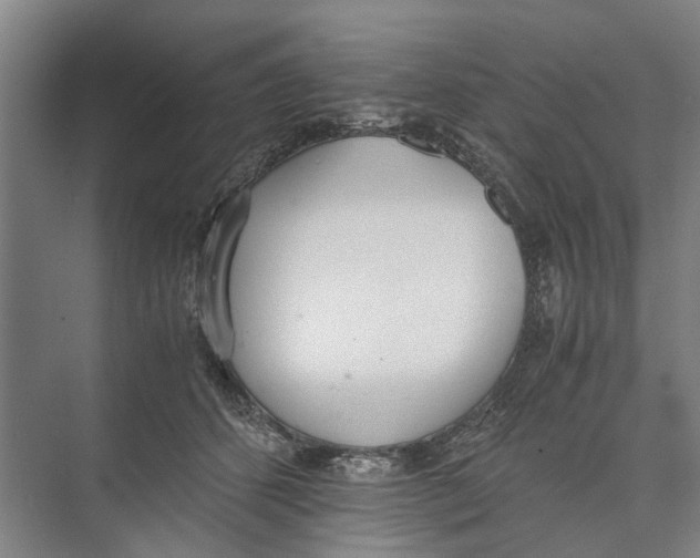 X0000071930512200608041504