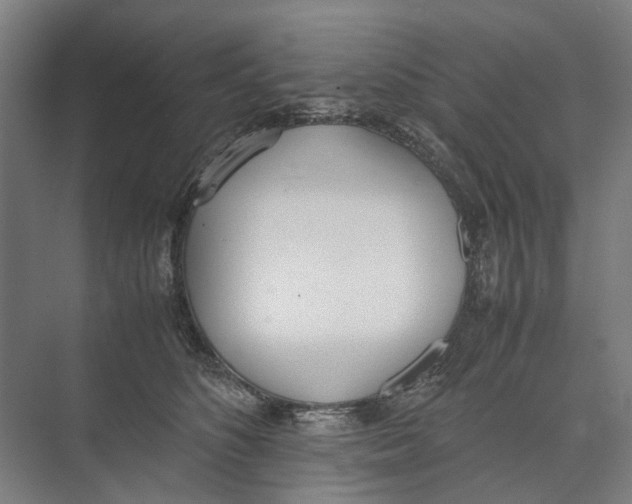 X0000071930516200608041504