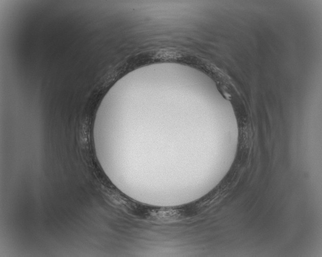 X0000071930517200608041504