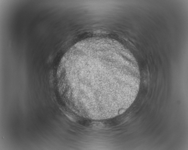 X0000071930519200608041504