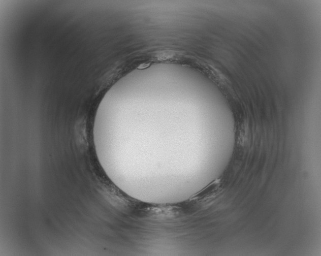 X0000071930524200608041504