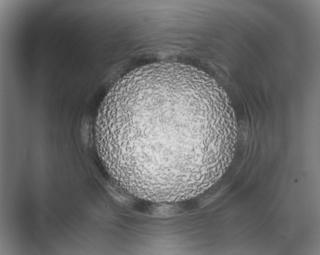 X0000071930527200608041504
